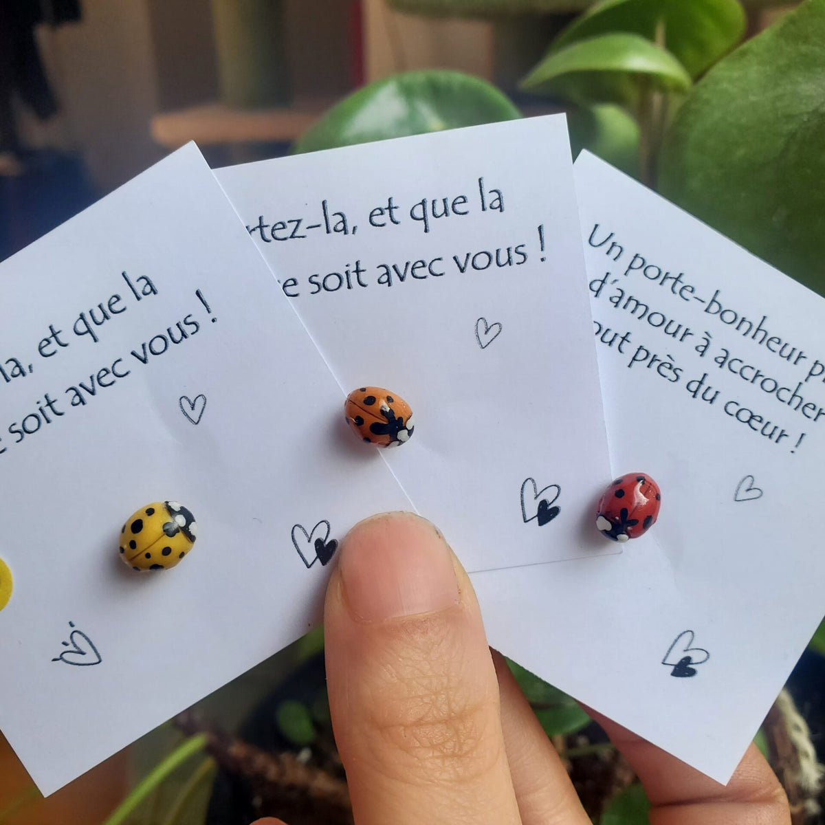 Pins coccinelle