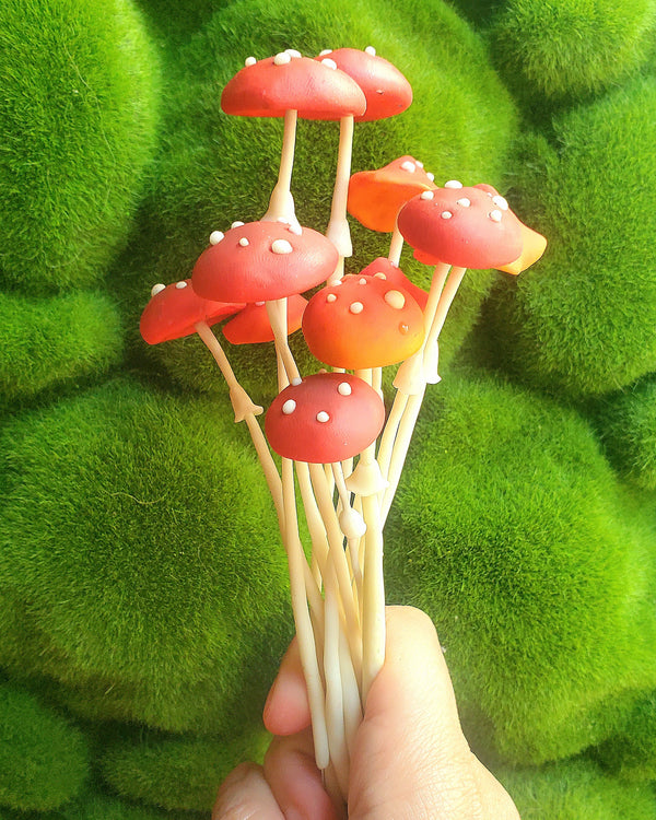 Champignon rouge phosphorescent