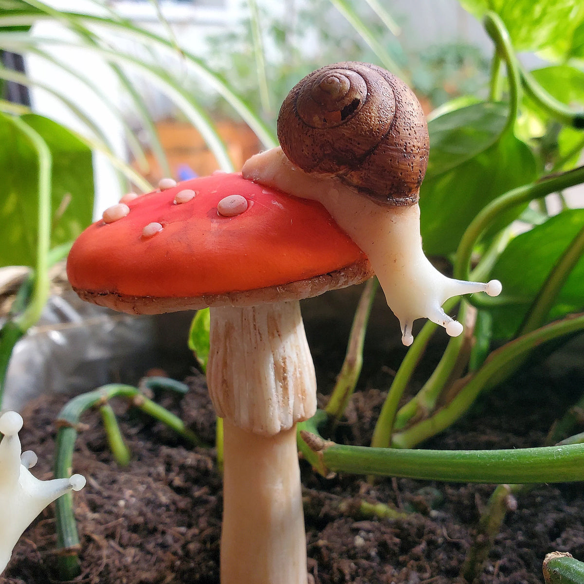 Champignons décoratifs rouges escargot phosphorescent à planter en pots ou en terre