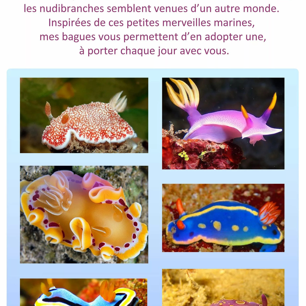 Bague réglable support acier inoxydable limace de mer rose réaliste