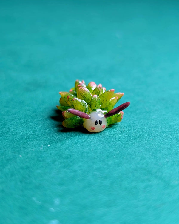 Pins mouton de mer