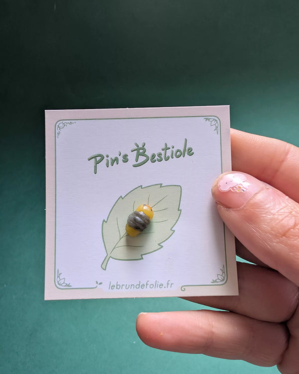Pins cloporte jaune