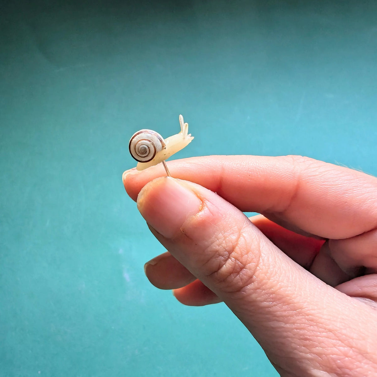Boucle d’oreille Escargot phosphorescent avec une vraie coquille