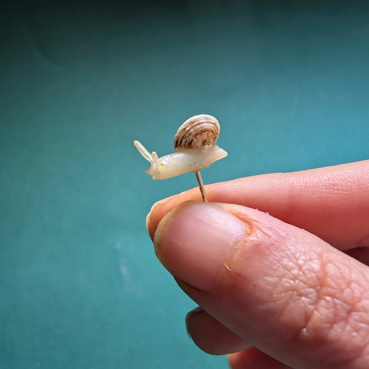 Boucle d’oreille Escargot phosphorescent avec une vraie coquille
