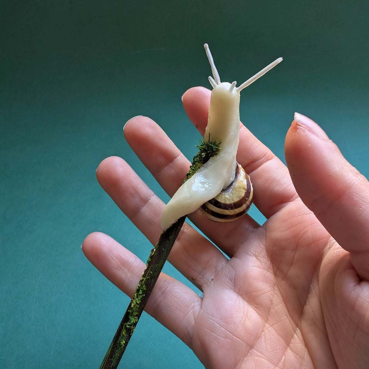 baguette pour cheveux escargot avec une vraie coquille