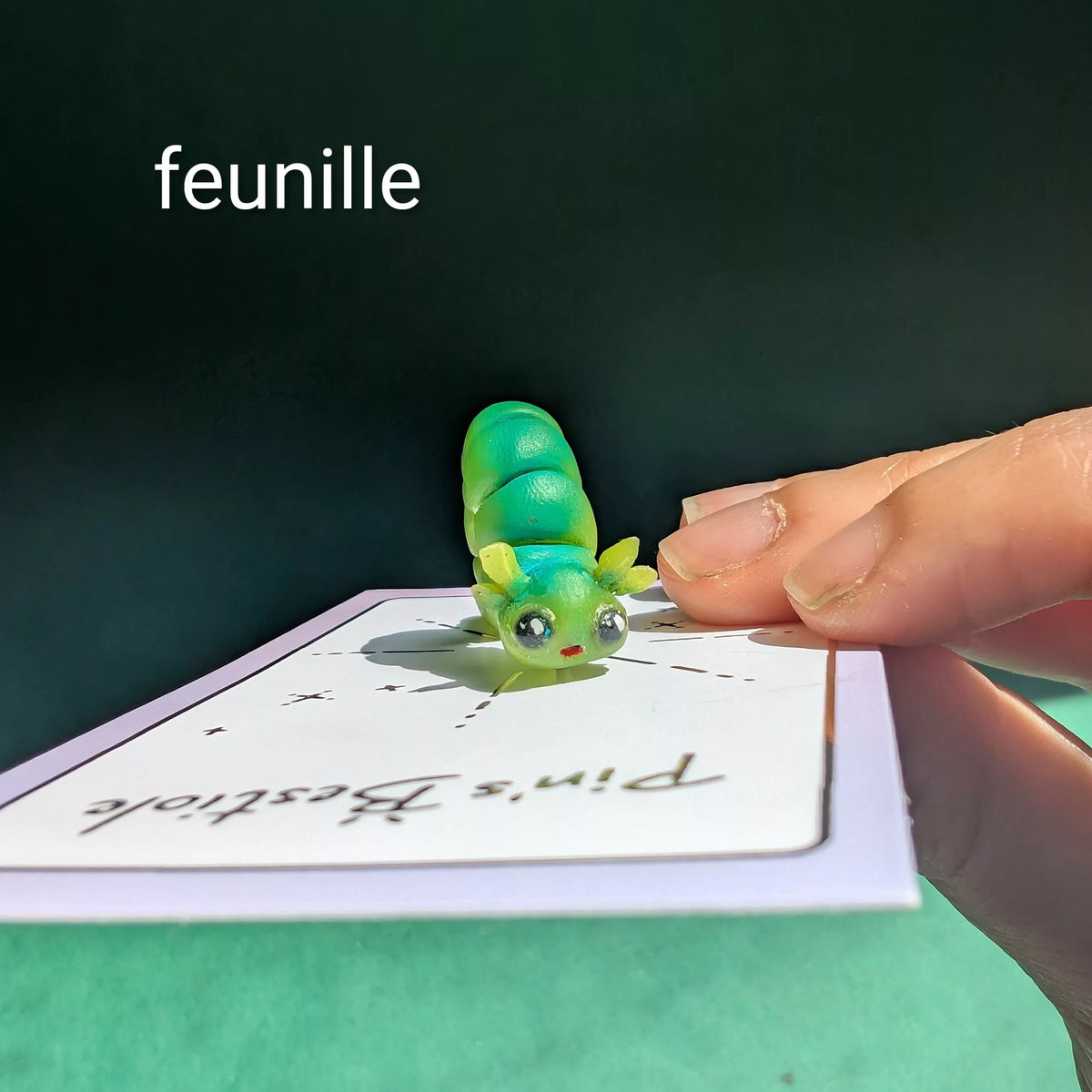 pins chenille verte bleutées