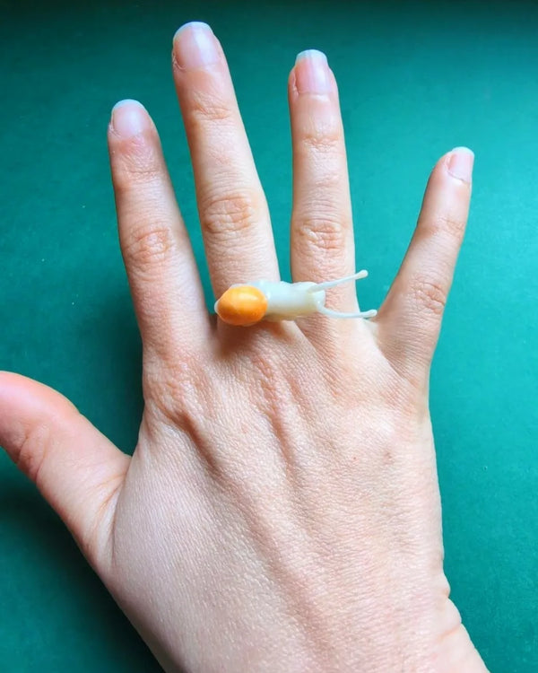 Bague escargot