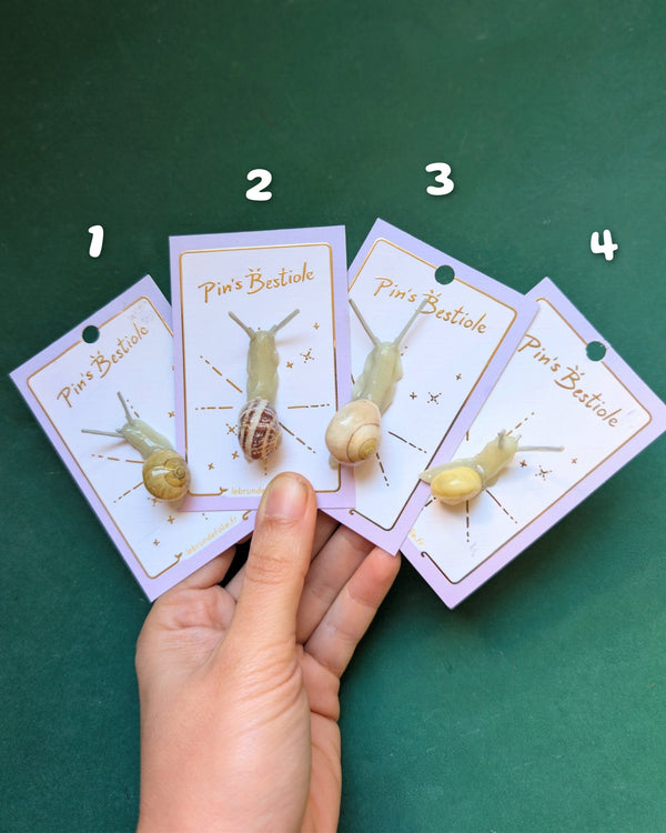 Pins escargot phosphorescent