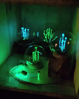 Cloches phosphorescentes, la nuit