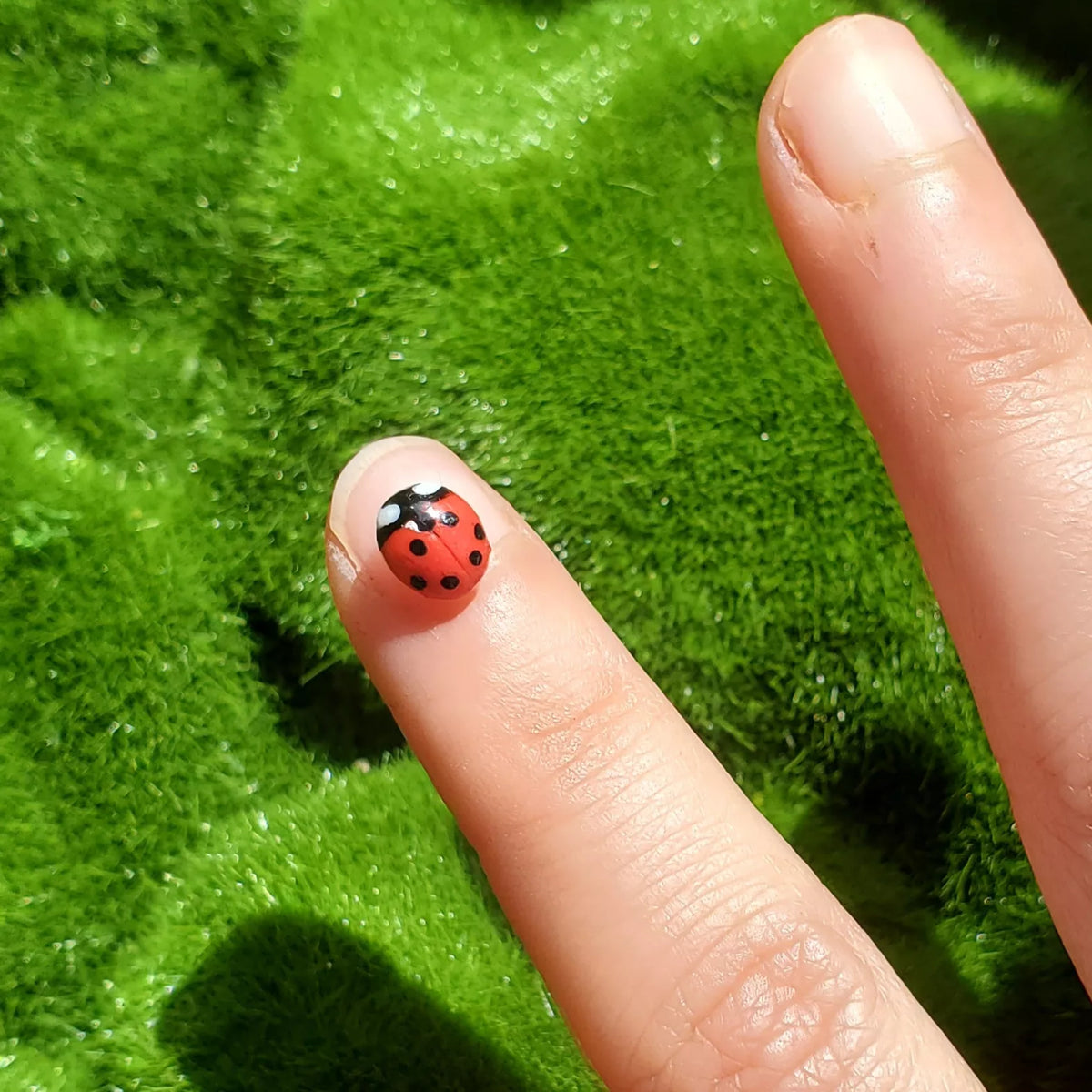 Pins coccinelle