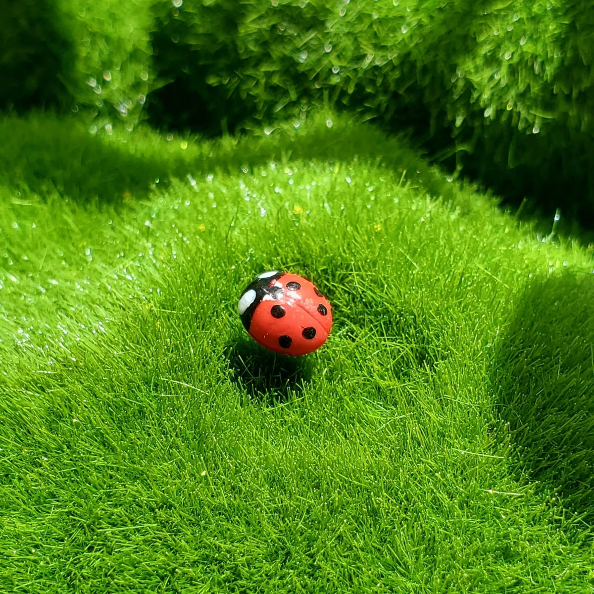 pins coccinelles : choisissez votre couleur personnalisée !