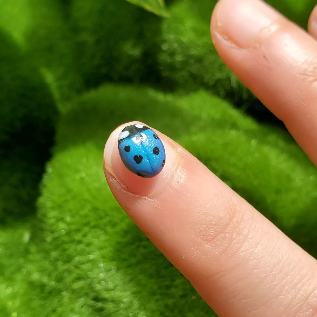 Pins coccinelle shiny