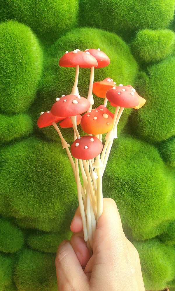 Champignon rouge phosphorescent