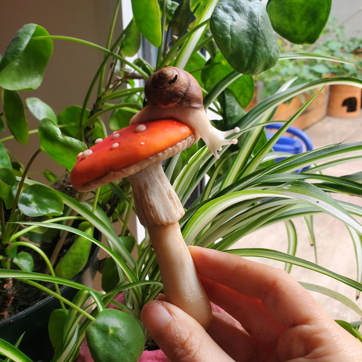 Champignons décoratifs rouges escargot phosphorescent à planter en pots ou en terre