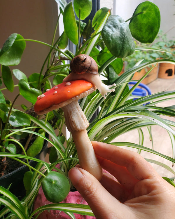 Champignons & escargot phosphorescent