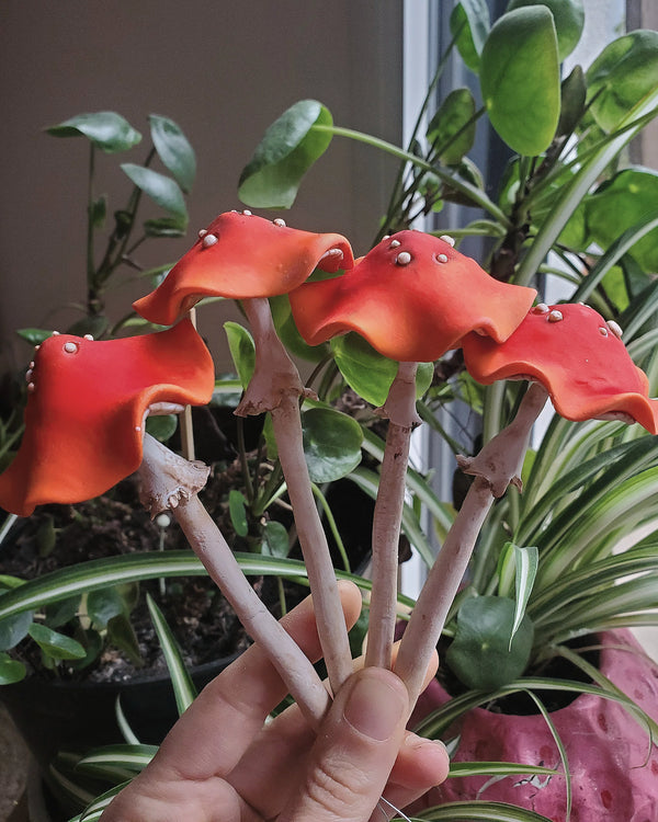 Champignon rouge XL