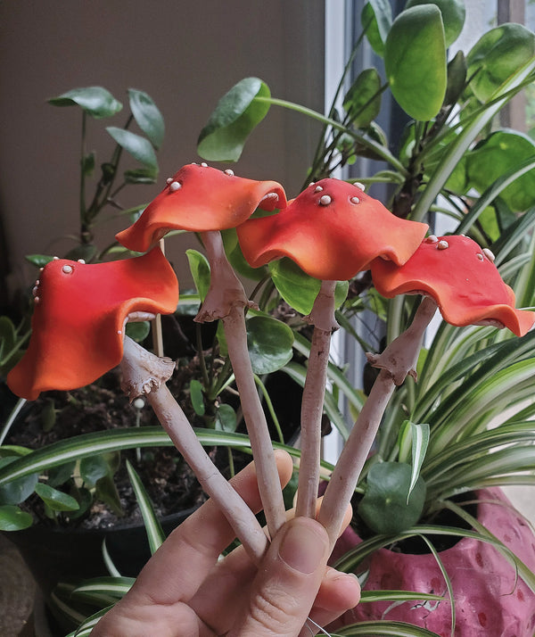 Champignon rouge XL