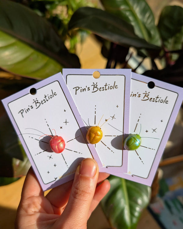 Pins scaraboule