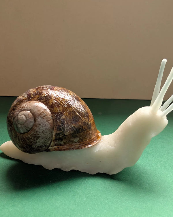 Goscargot, la veilleuse escargot