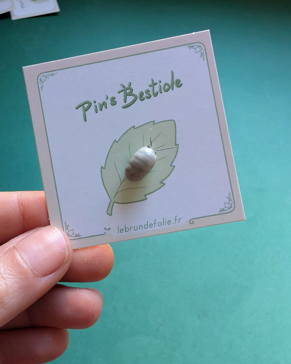 Pins cloporte gris