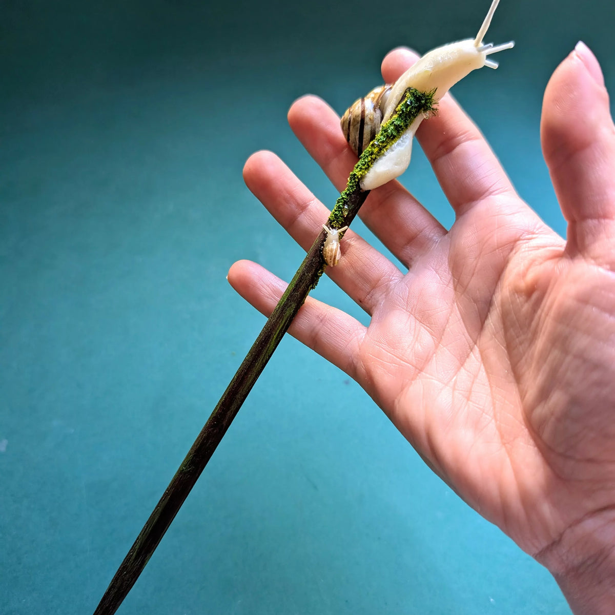 baguette pour cheveux escargot et bébé avec une vraie coquille (Pièce unique)