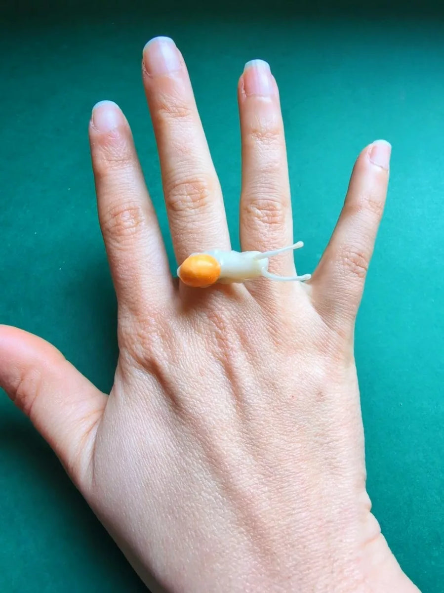 Bague réglable support acier inoxydable escargot/Nescargot