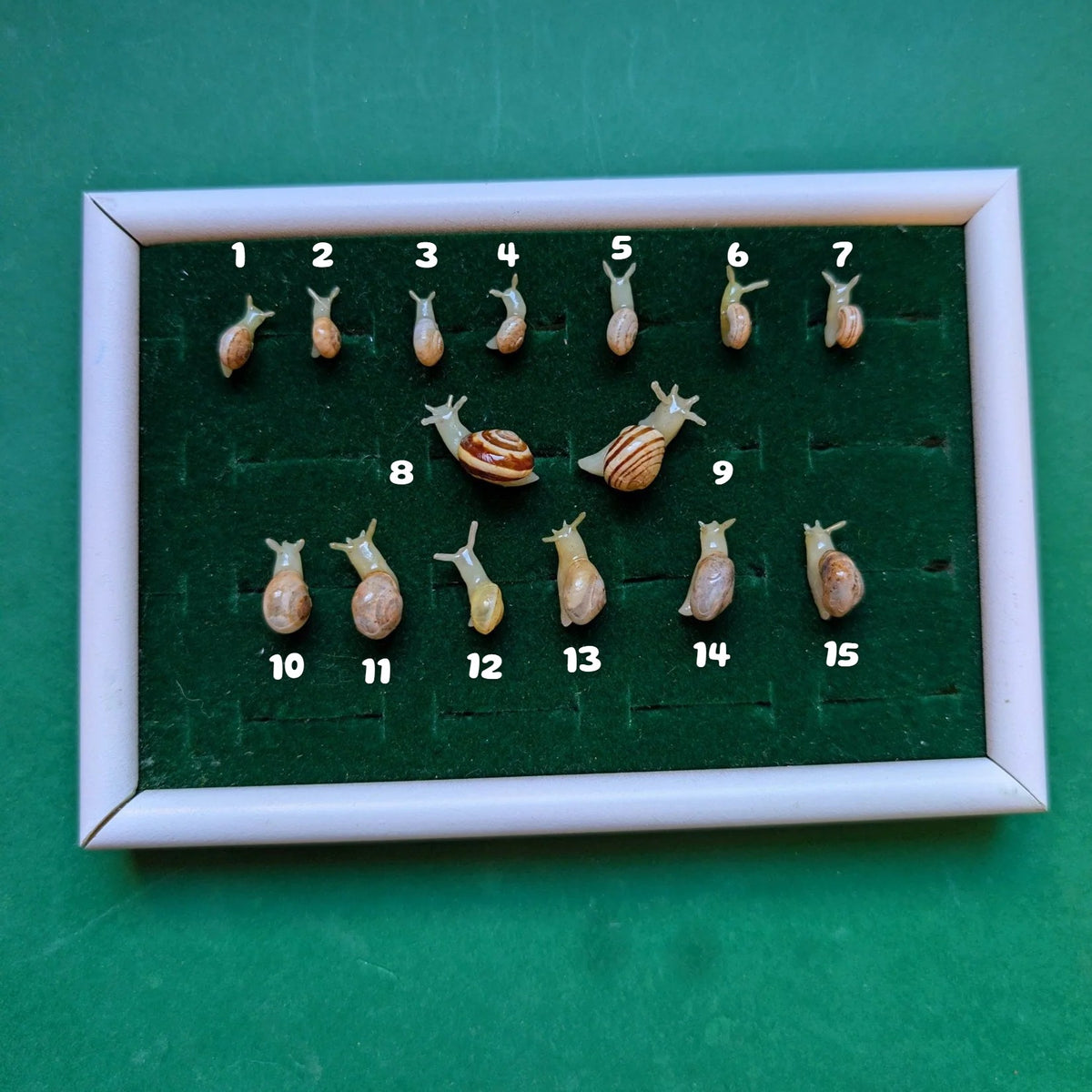 Les 15 boucles d'oreilles escargots numérotées de 1 à 15 dans leur cadre