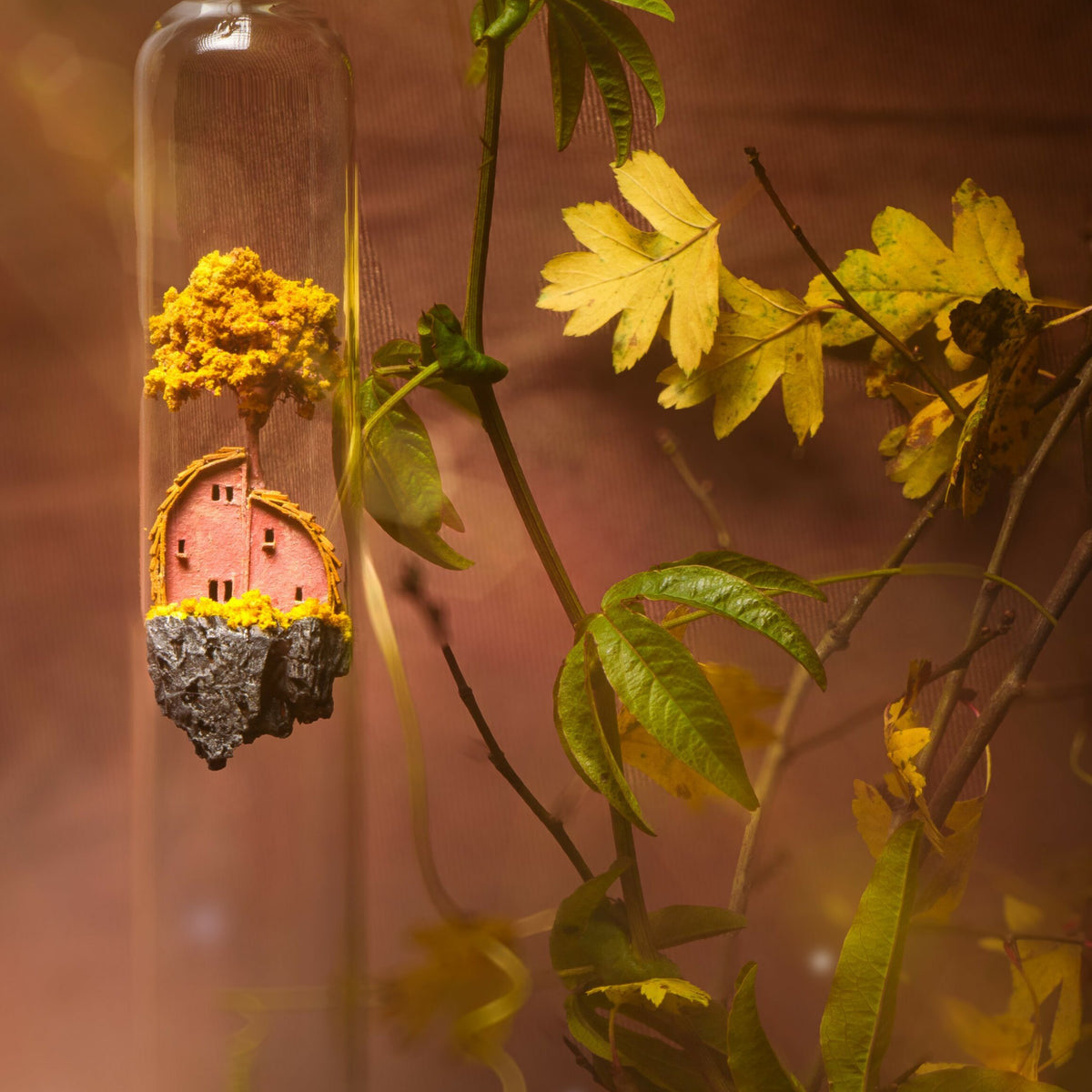 Maison rose et jaune miniature