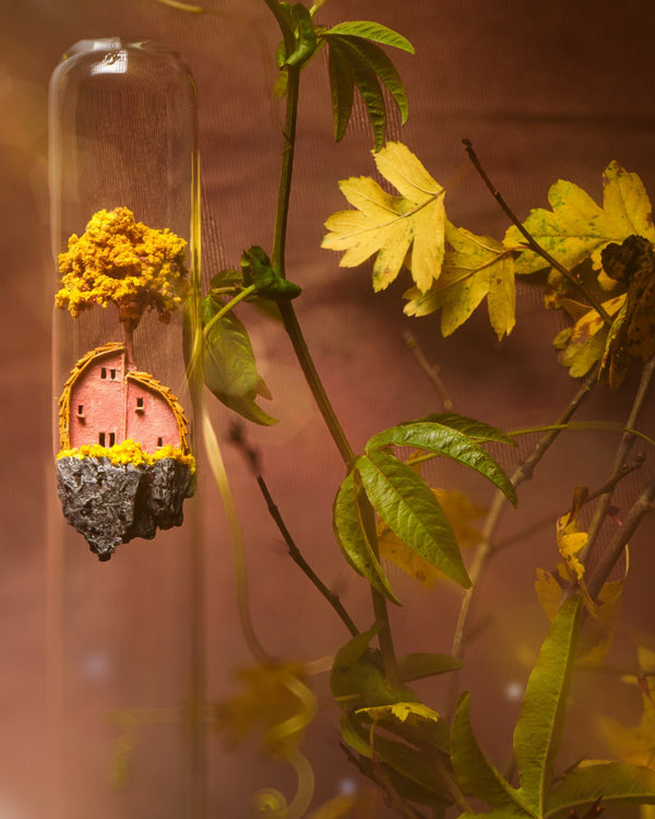 Maison rose et jaune sous cloche