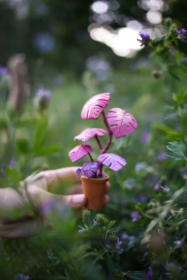Champignons miniatures roses dans un jardin