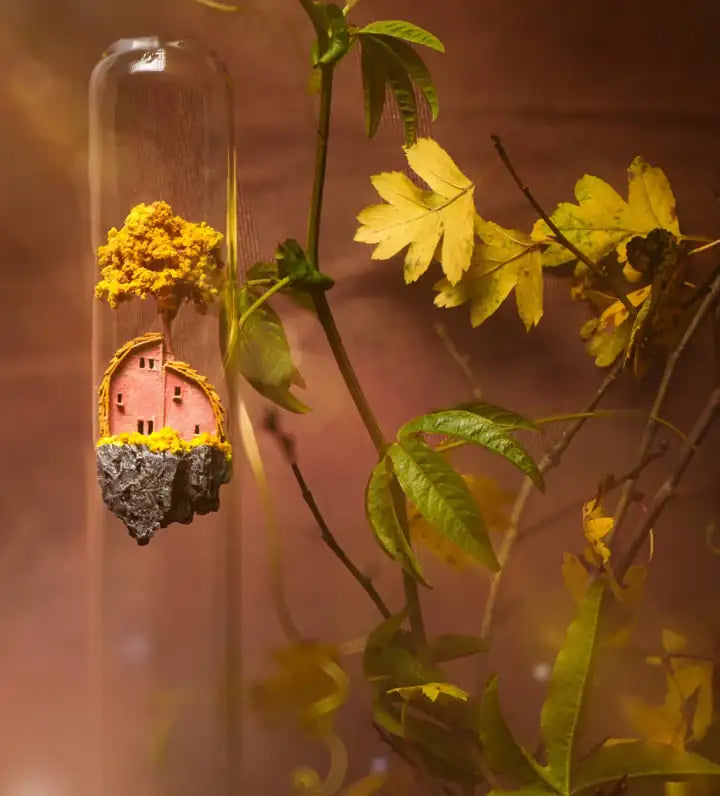 Maison miniature sous cloche