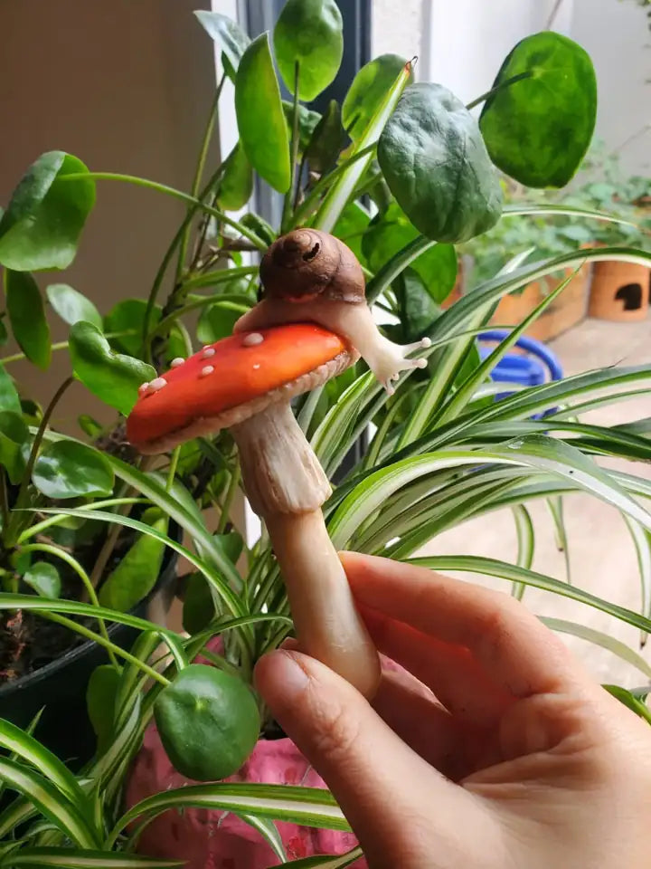 Champignons et escargot dans une plante