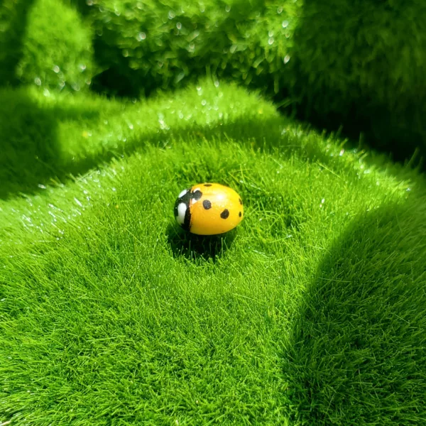 coccinelle shiny brillante pins