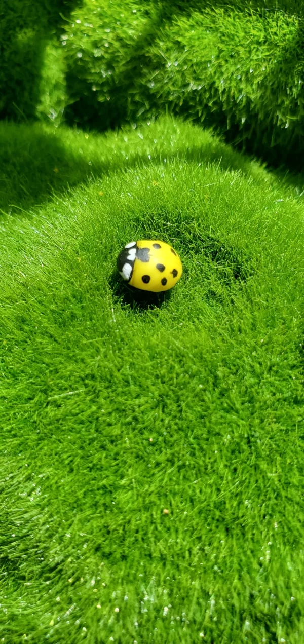 pins coccinelle brillante colorés
