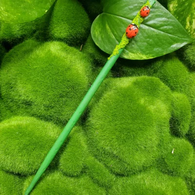coccinelle rouge