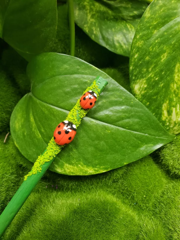 coccinelle rouge baguette