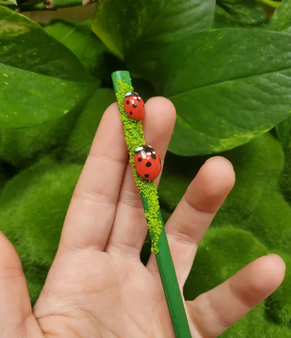 coccinelle rouge baguette