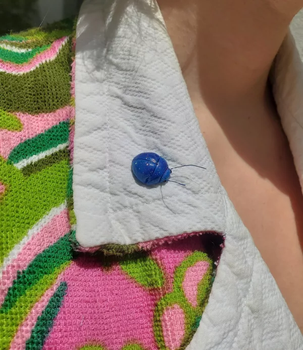 pins scarabée coloré