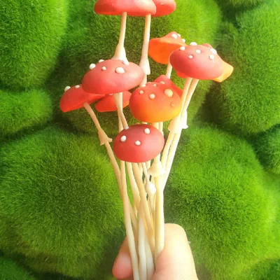 champignon rouge