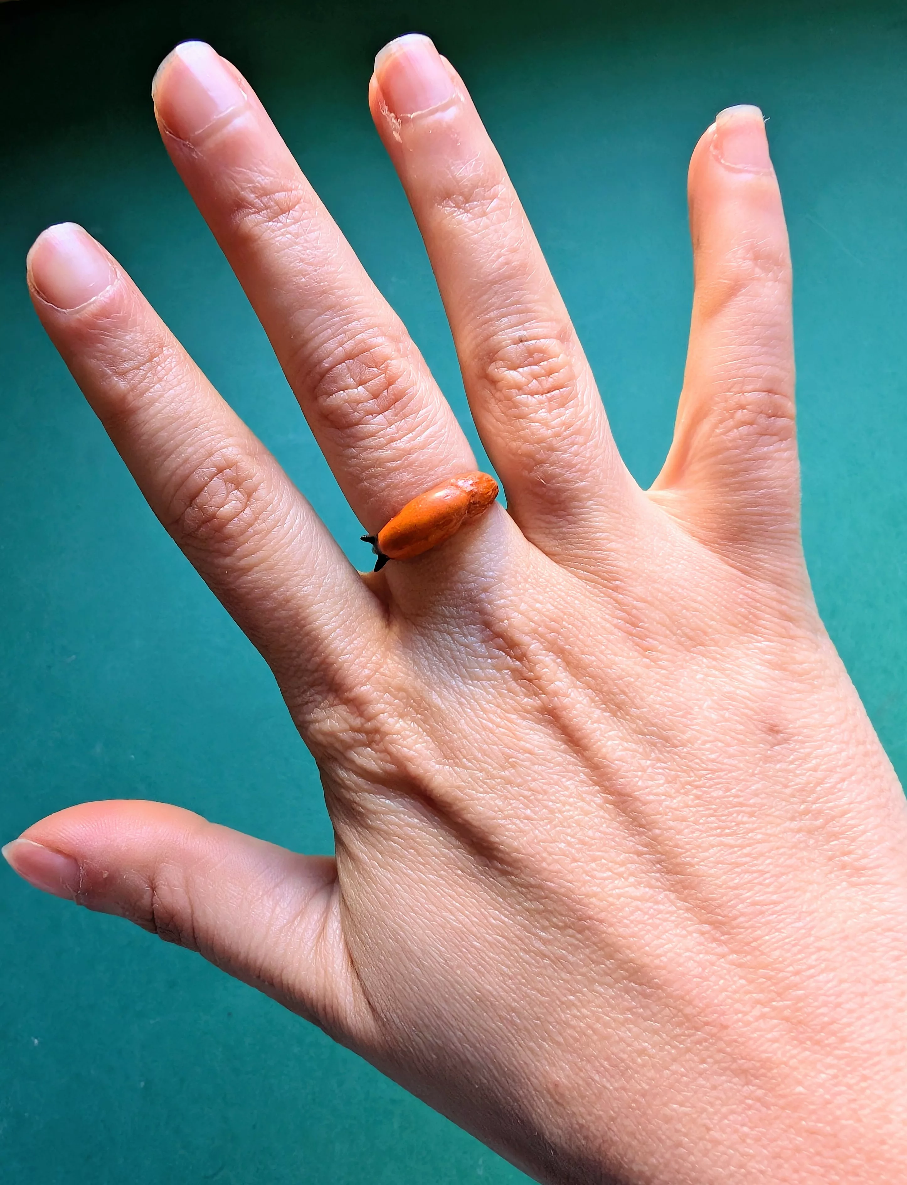 PXL_20260408_143002635~2