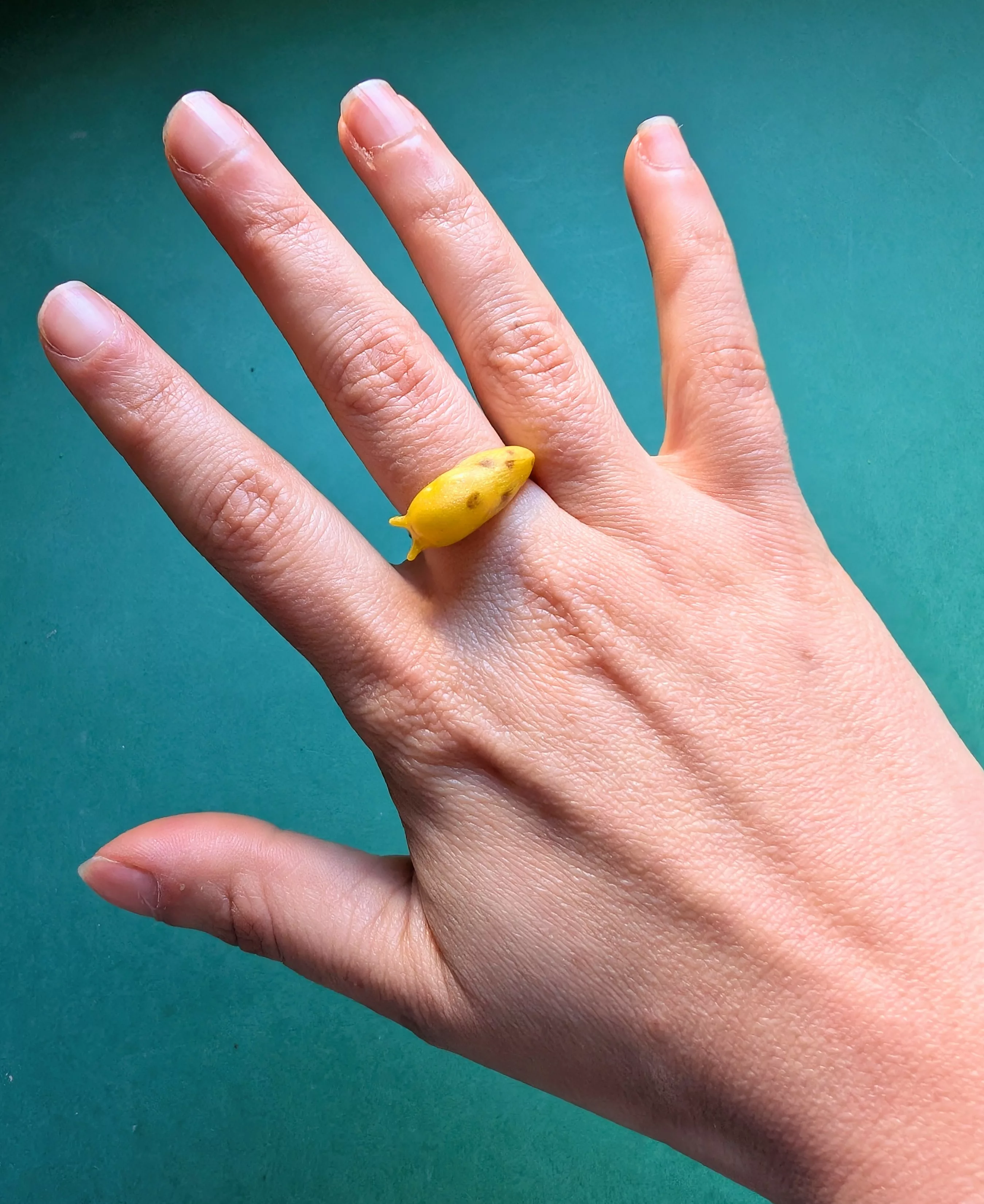 PXL_20260408_143040905~2