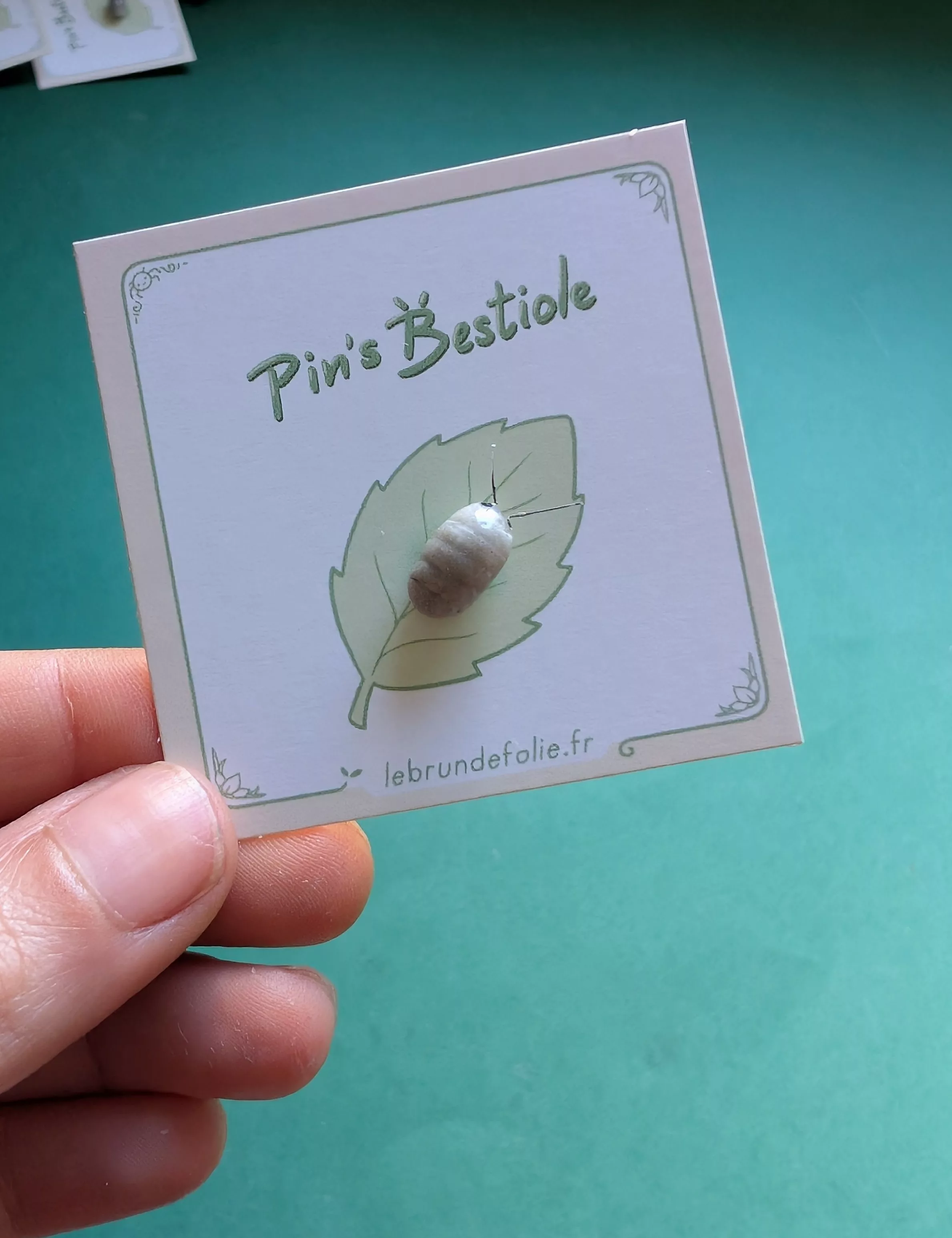 PXL_20260415_144027619~2