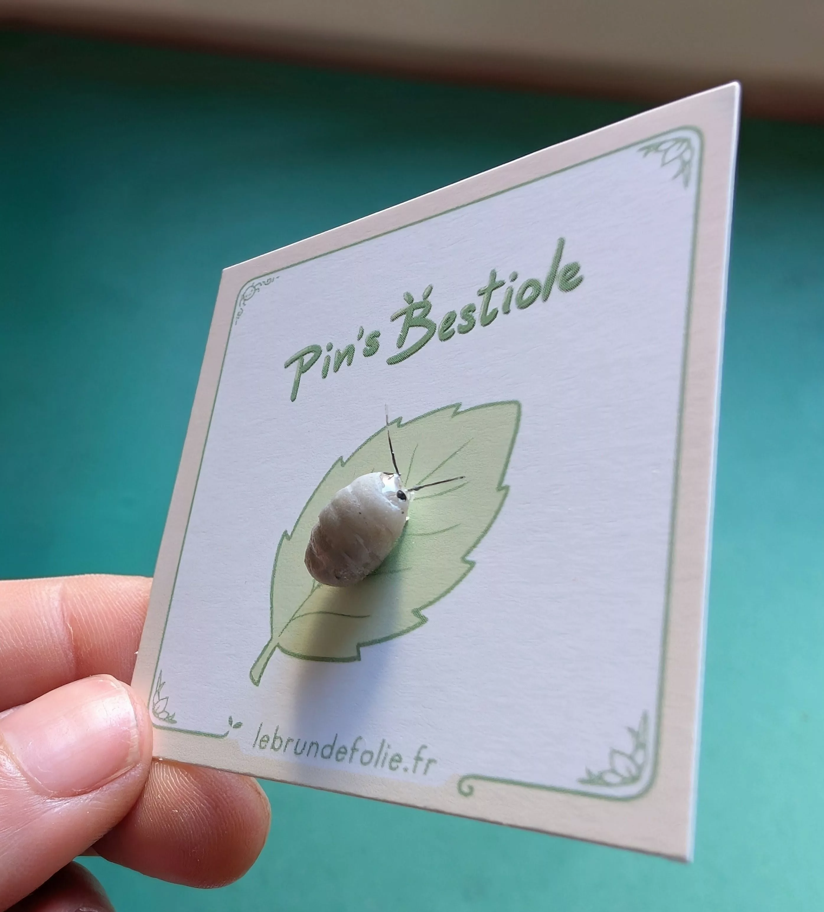 PXL_20260415_144033030~3